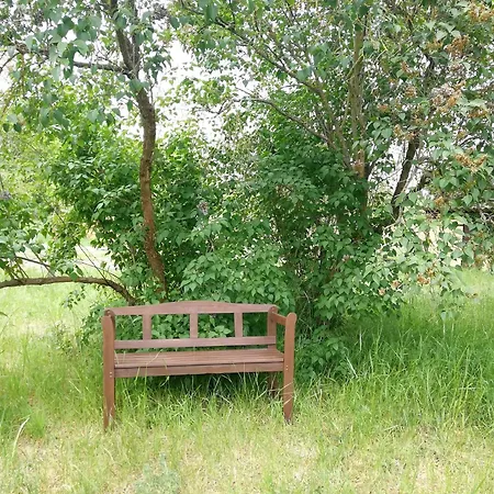 Kleine Galerie Fuer 3 Mit Kueche Kamin Netflix Parken Und Hofladen Apartment *