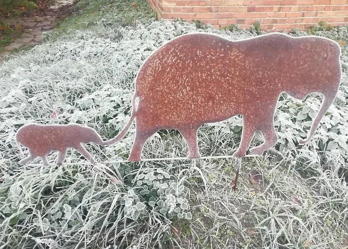 Apartamento Kleine Galerie Für 3 Mit Küche Kamin Netflix Parken Und Hofladen *