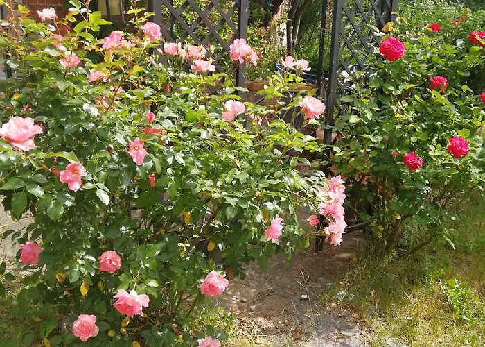 Kleine Galerie Für 3 Mit Küche Kamin Netflix Parken Und Hofladen * Steinhofel